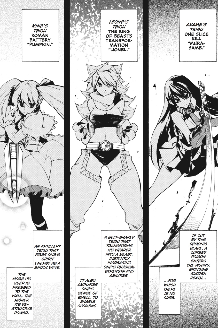 Akame ga KILL! Chapter 5 - Page 17
