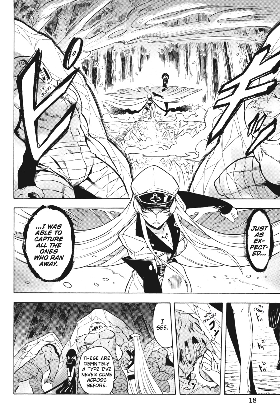 Akame ga KILL! Chapter 24 - Page 19