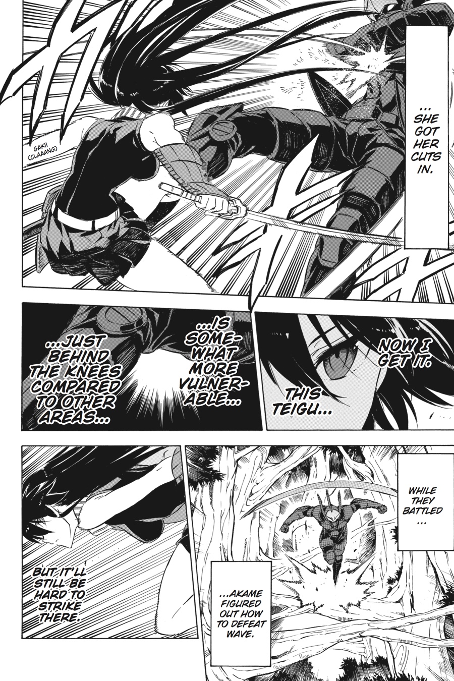 Akame ga KILL! Chapter 62 - Page 14