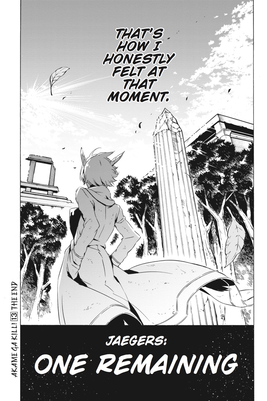 Akame ga KILL! Chapter 66 - Page 51