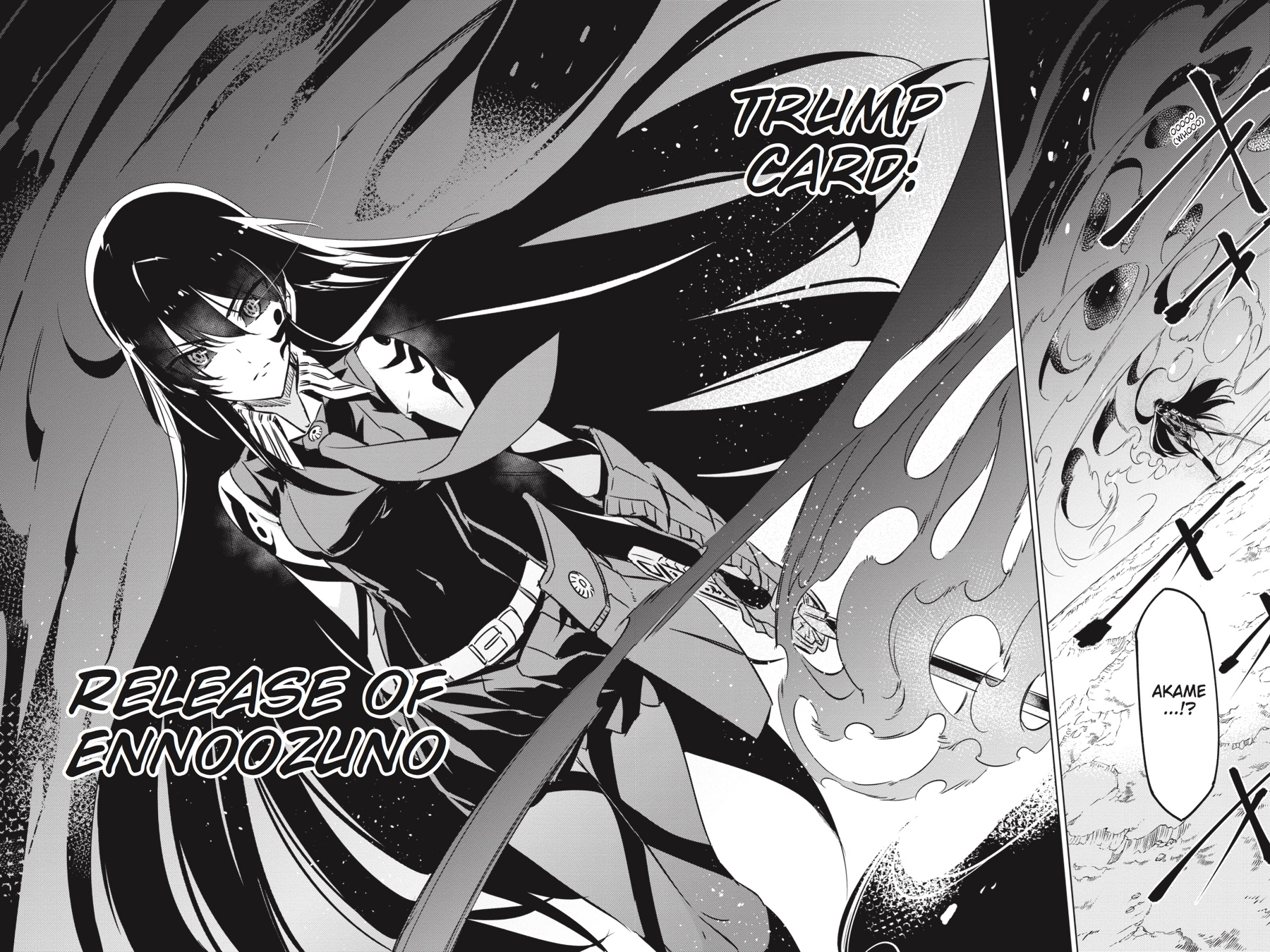 Akame ga KILL! Chapter 76 - Page 49