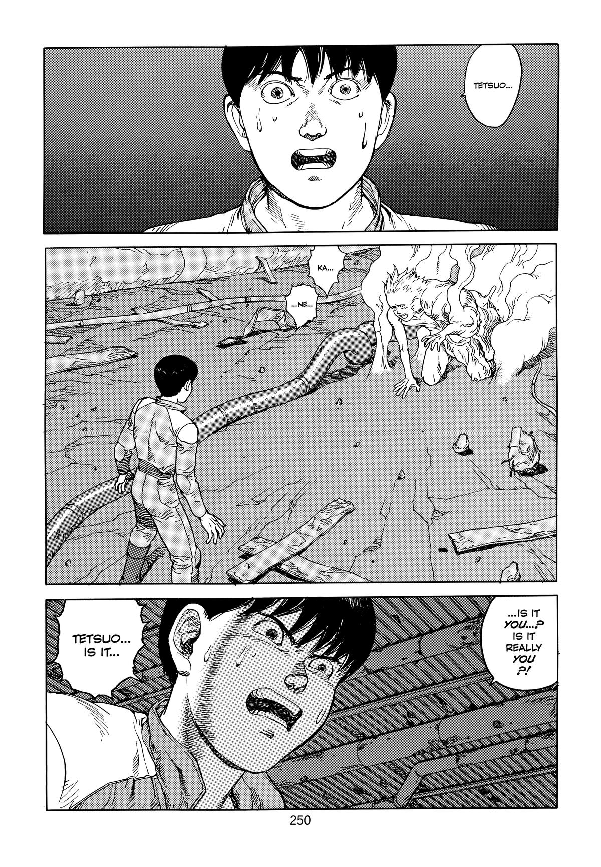 Akira Chapter 6 - Page 252