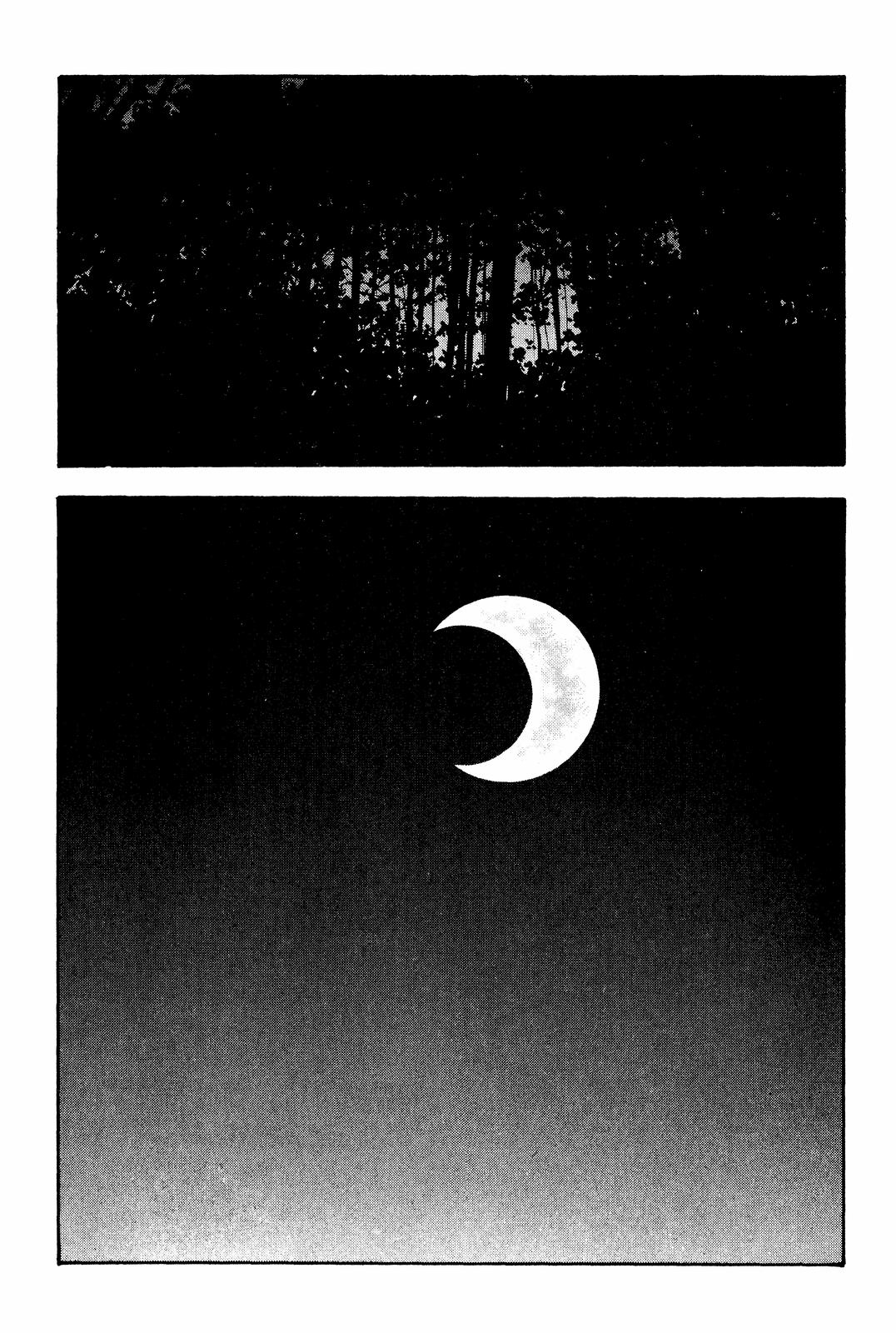 BECK Chapter 30 - Page 46