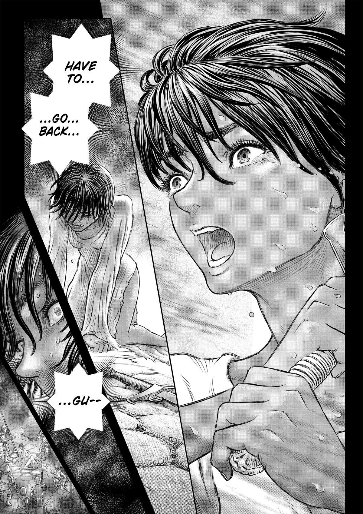 Berserk Chapter 372 - Page 17