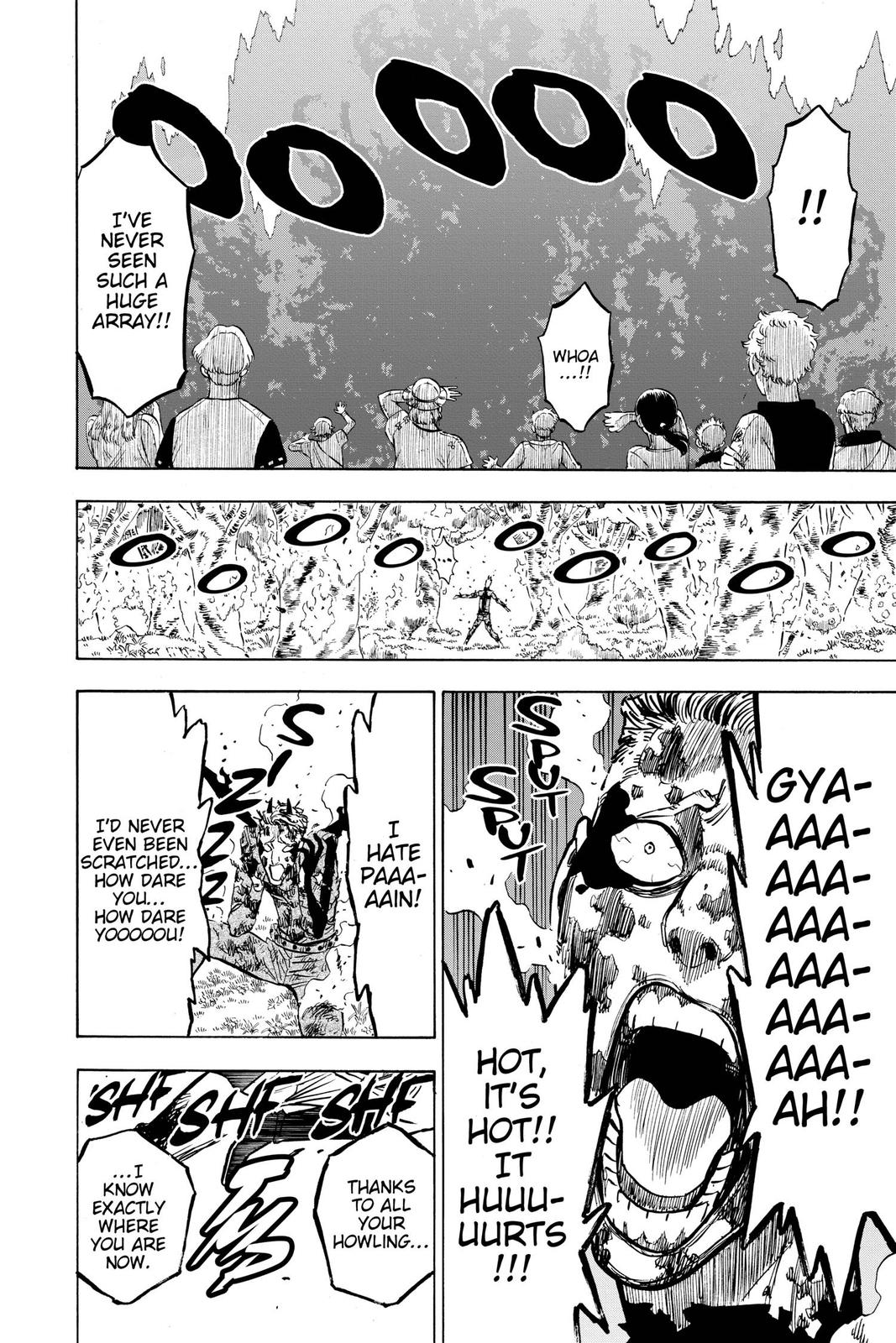 Black Clover Chapter 249 - Page 13