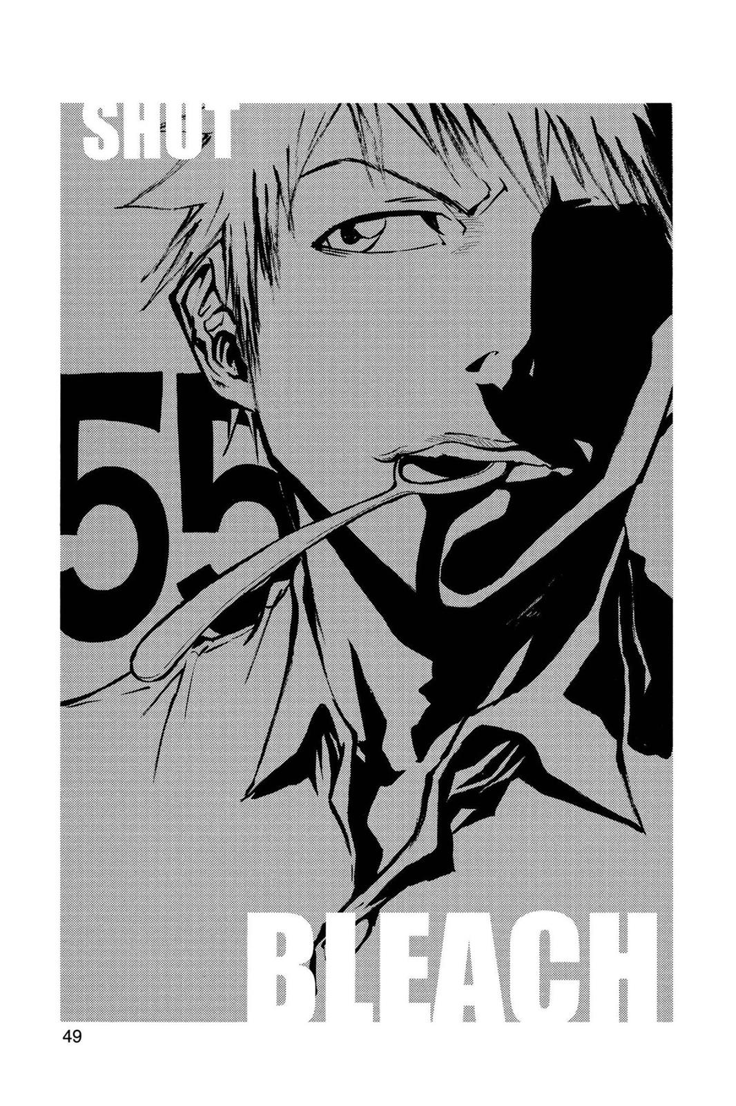 Bleach Chapter 55 - Page 3