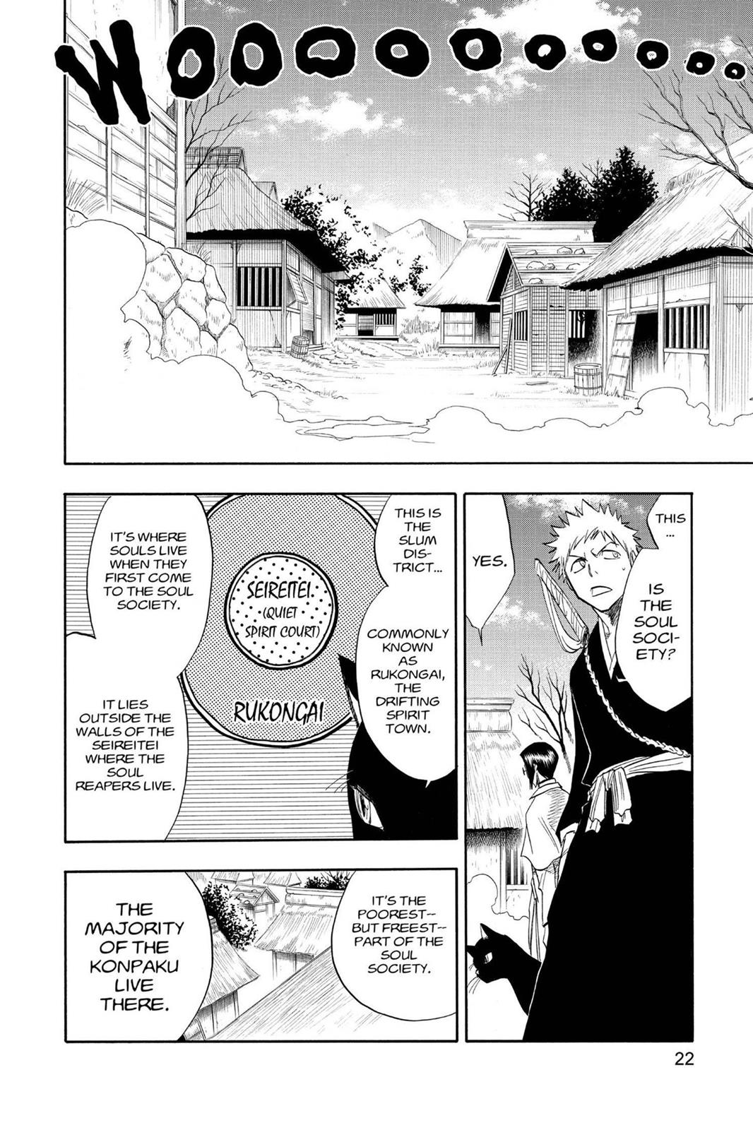 Bleach Chapter 71 - Page 22