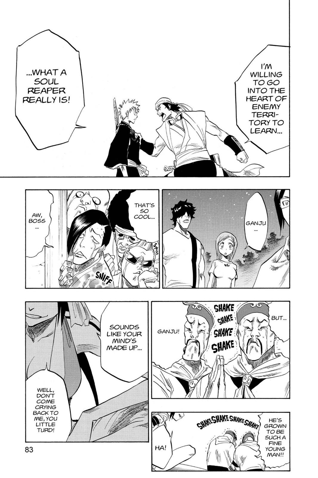 Bleach Chapter 83 - Page 17
