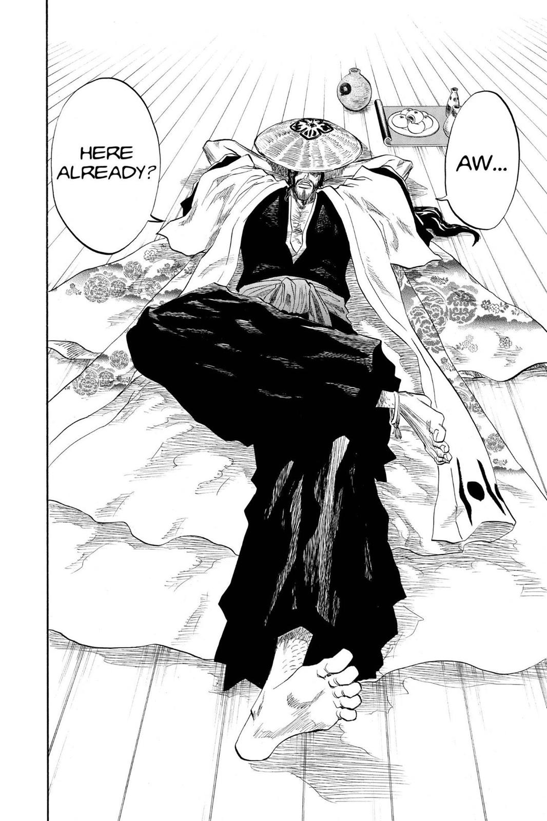 Bleach Chapter 102 - Page 14