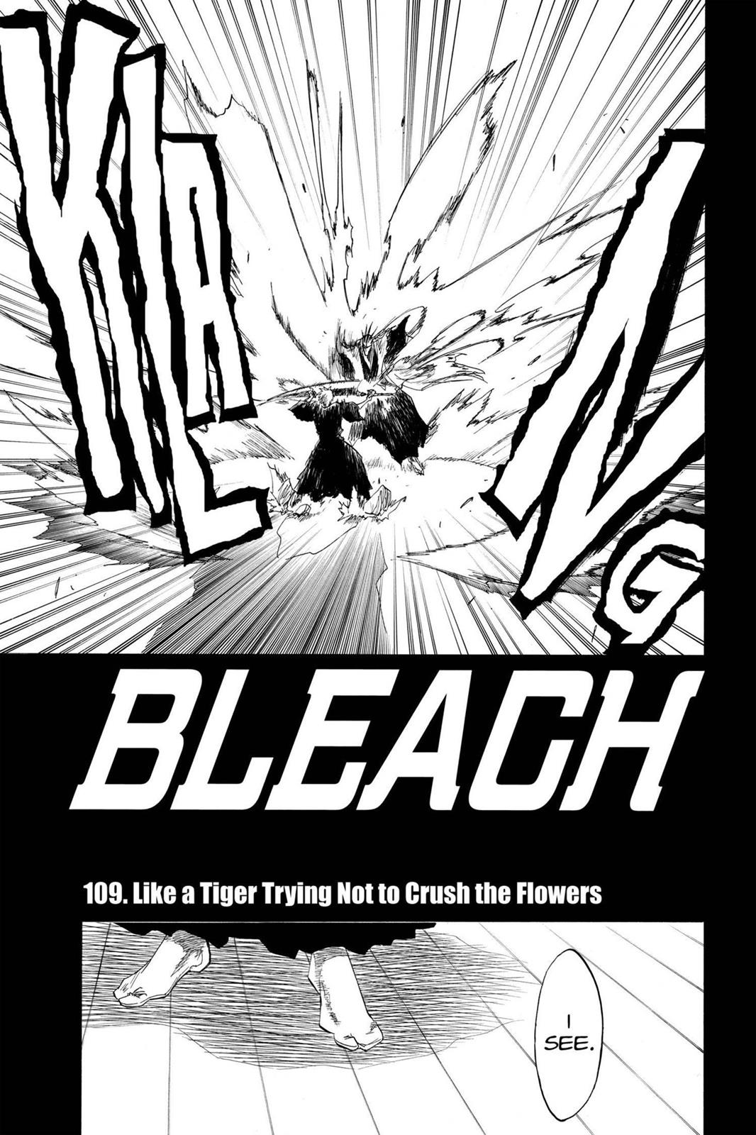 Bleach Chapter 109 - Page 5