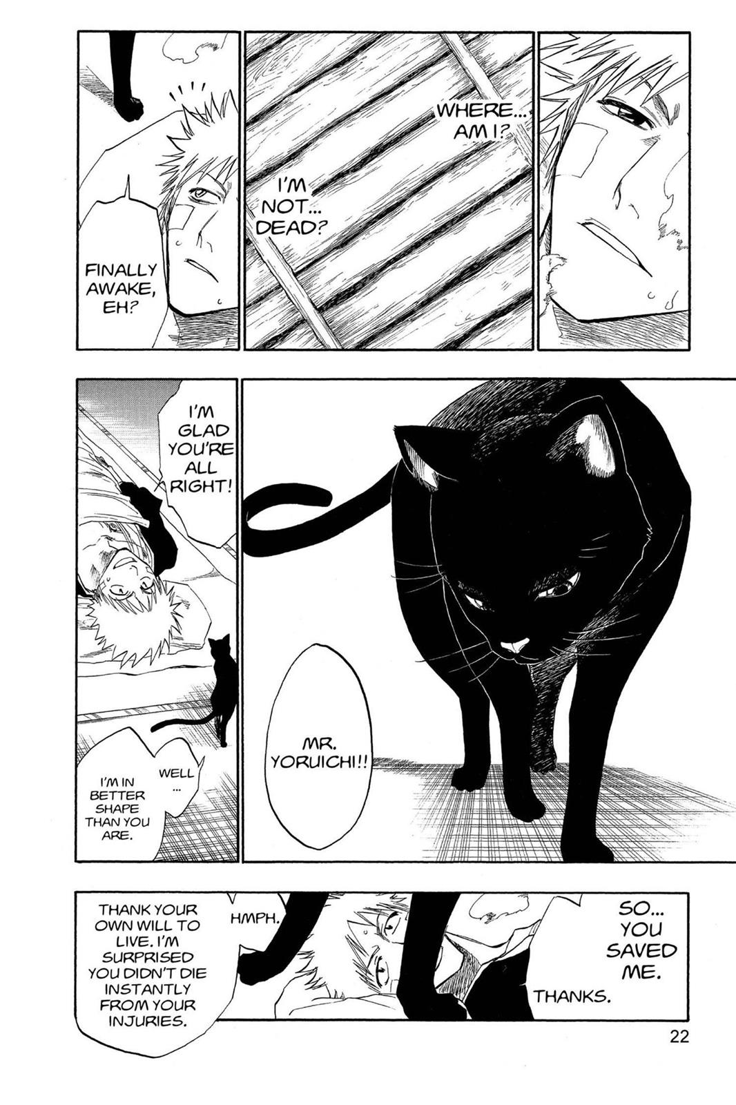Bleach Chapter 116 - Page 23