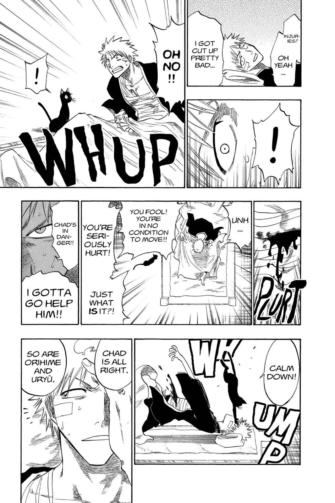 Bleach Chapter 116 - Page 24