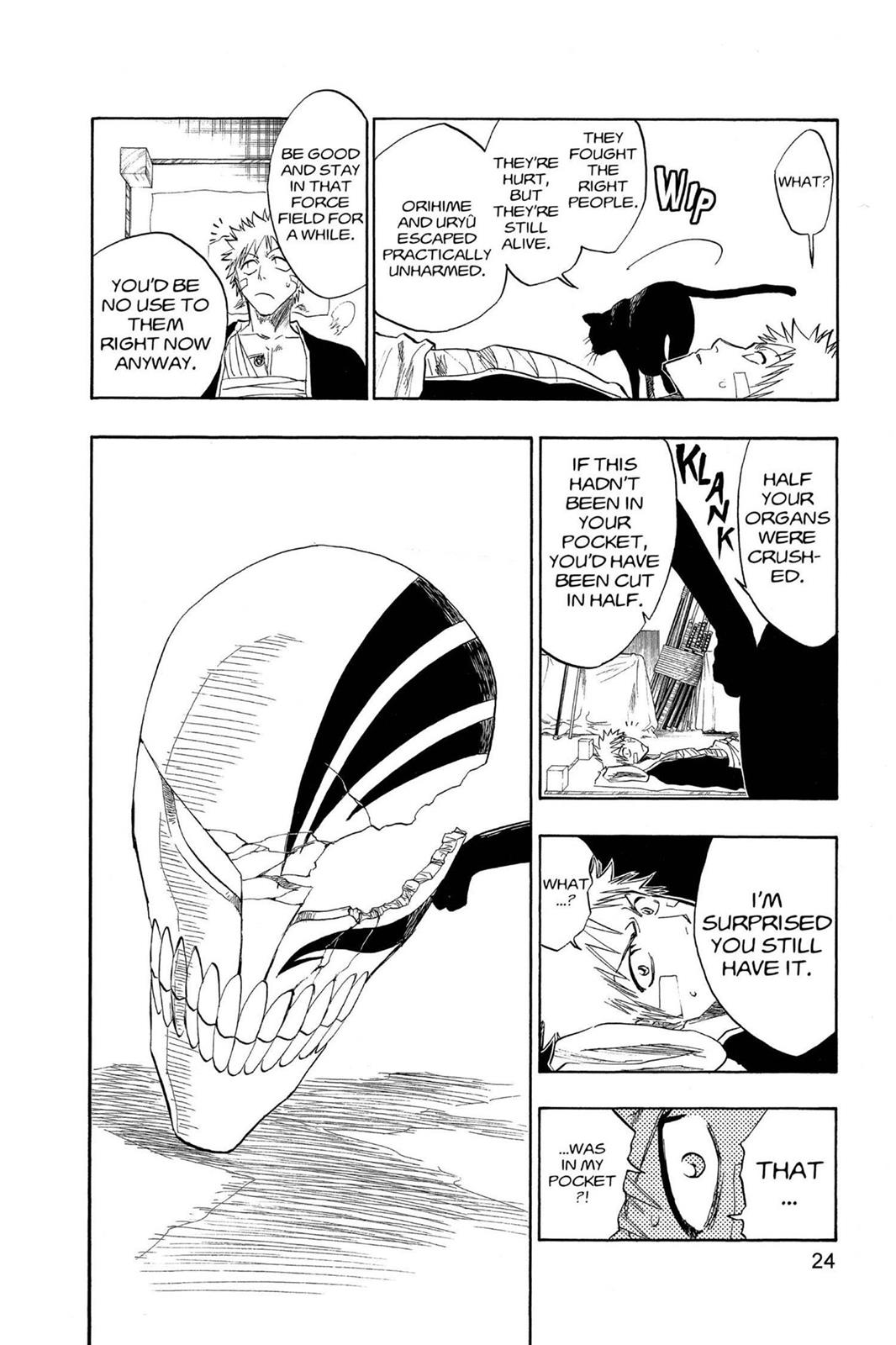 Bleach Chapter 116 - Page 25