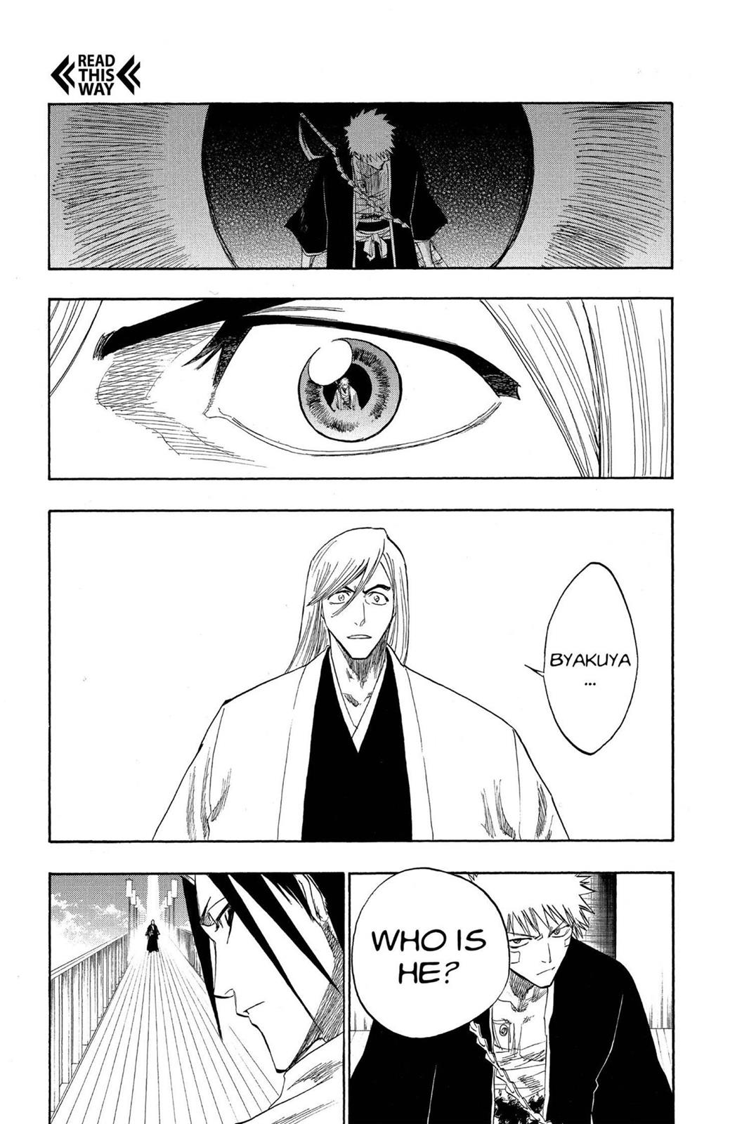 Bleach Chapter 117 - Page 5