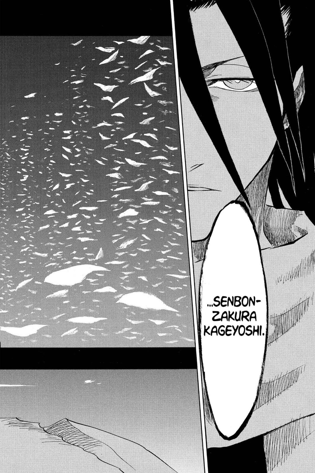 Bleach Chapter 142 - Page 14