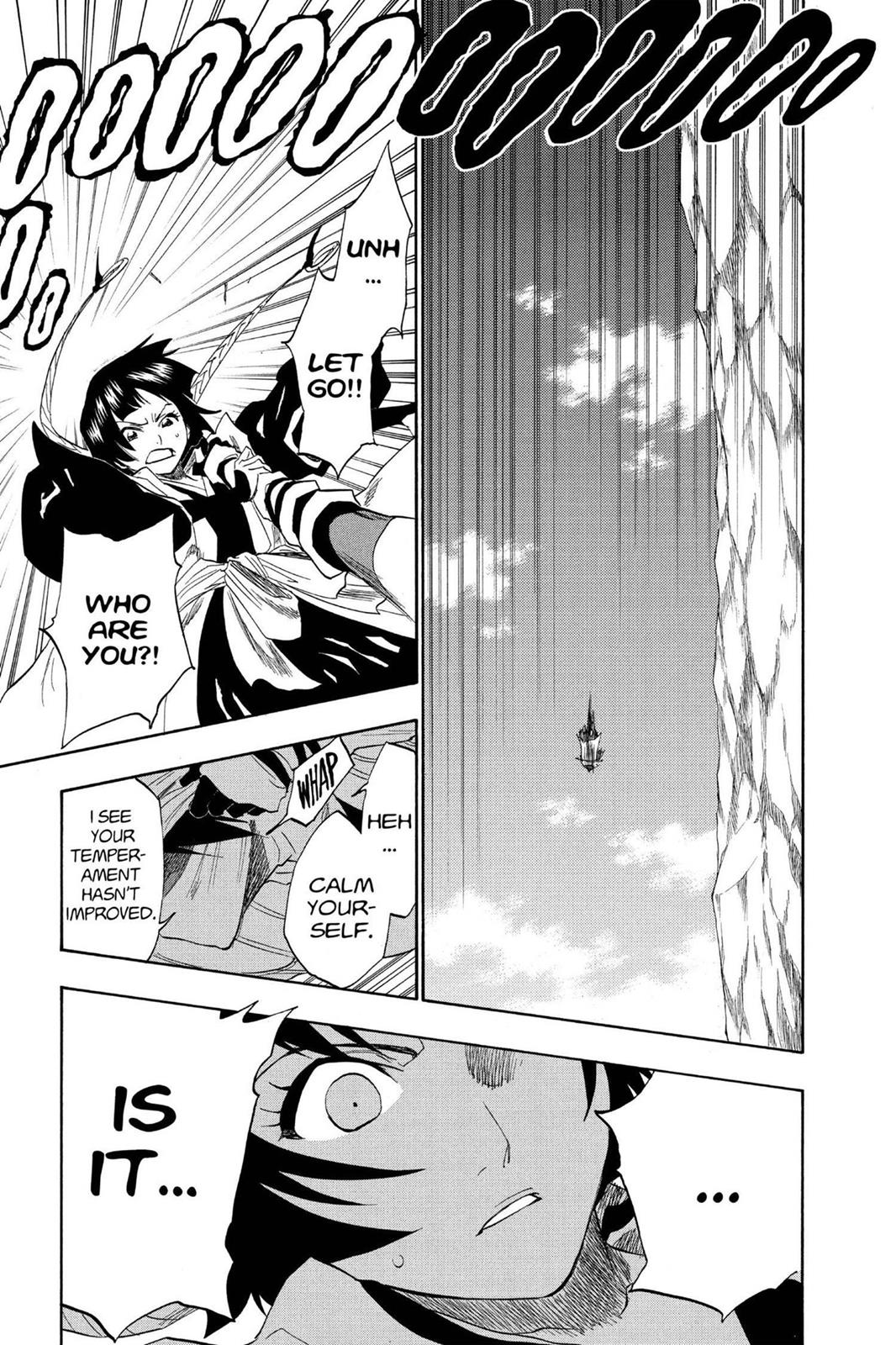 Bleach Chapter 153 - Page 17