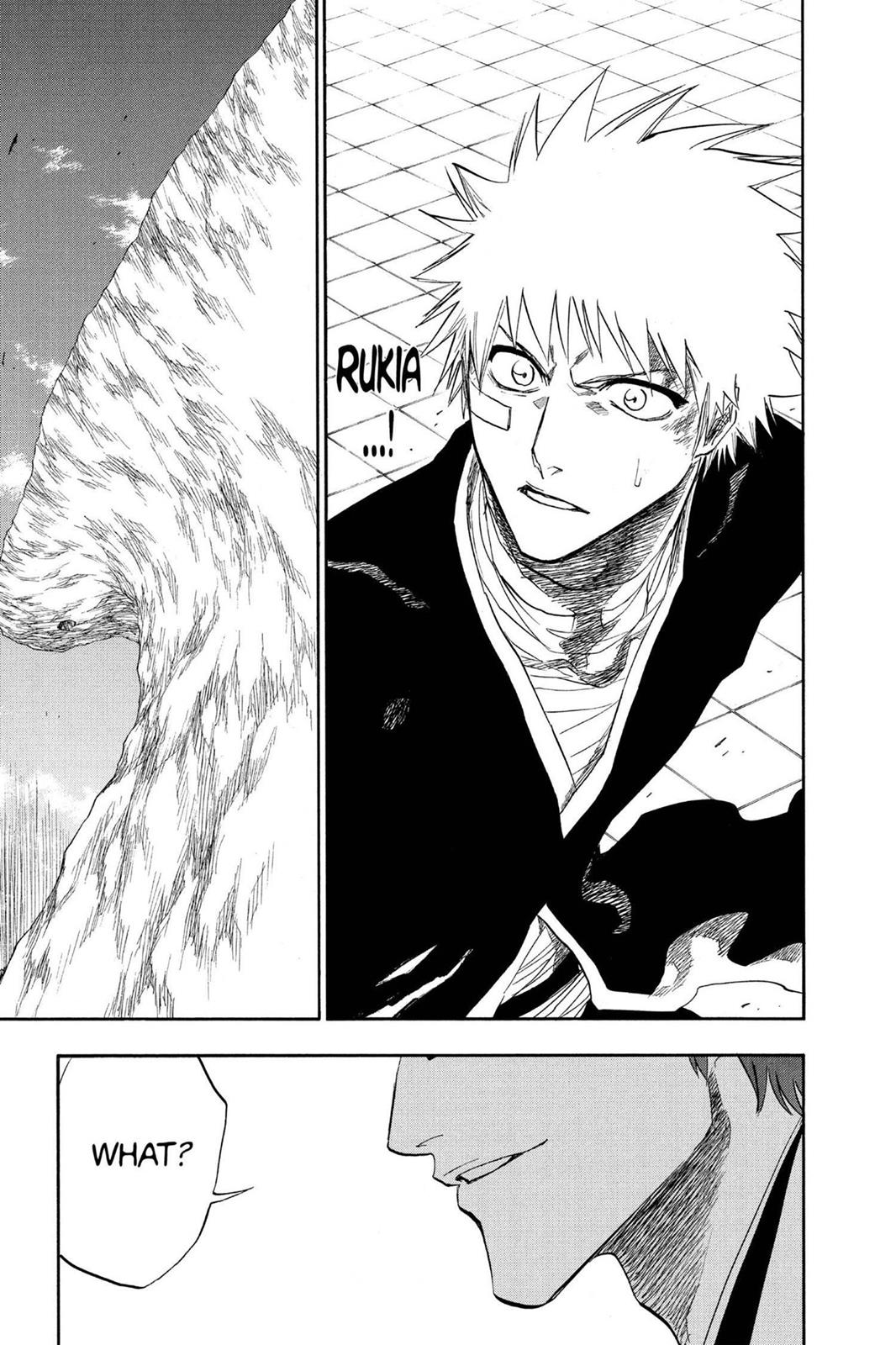 Bleach Chapter 172 - Page 17