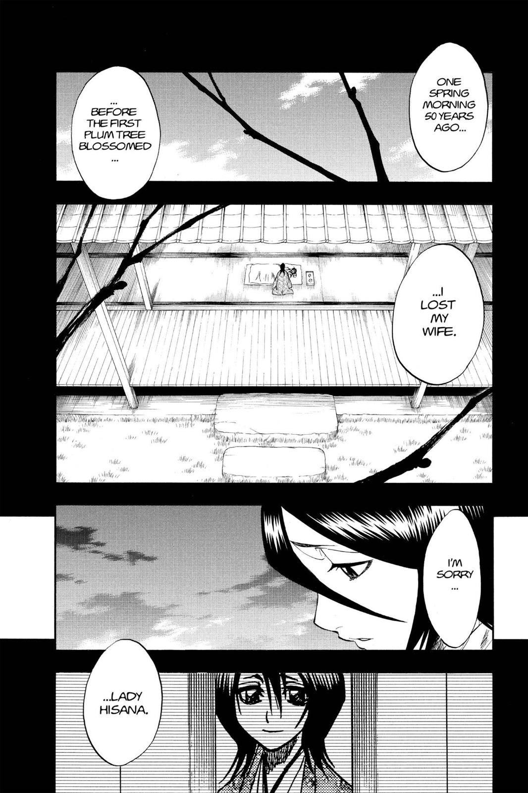 Bleach Chapter 179 - Page 17