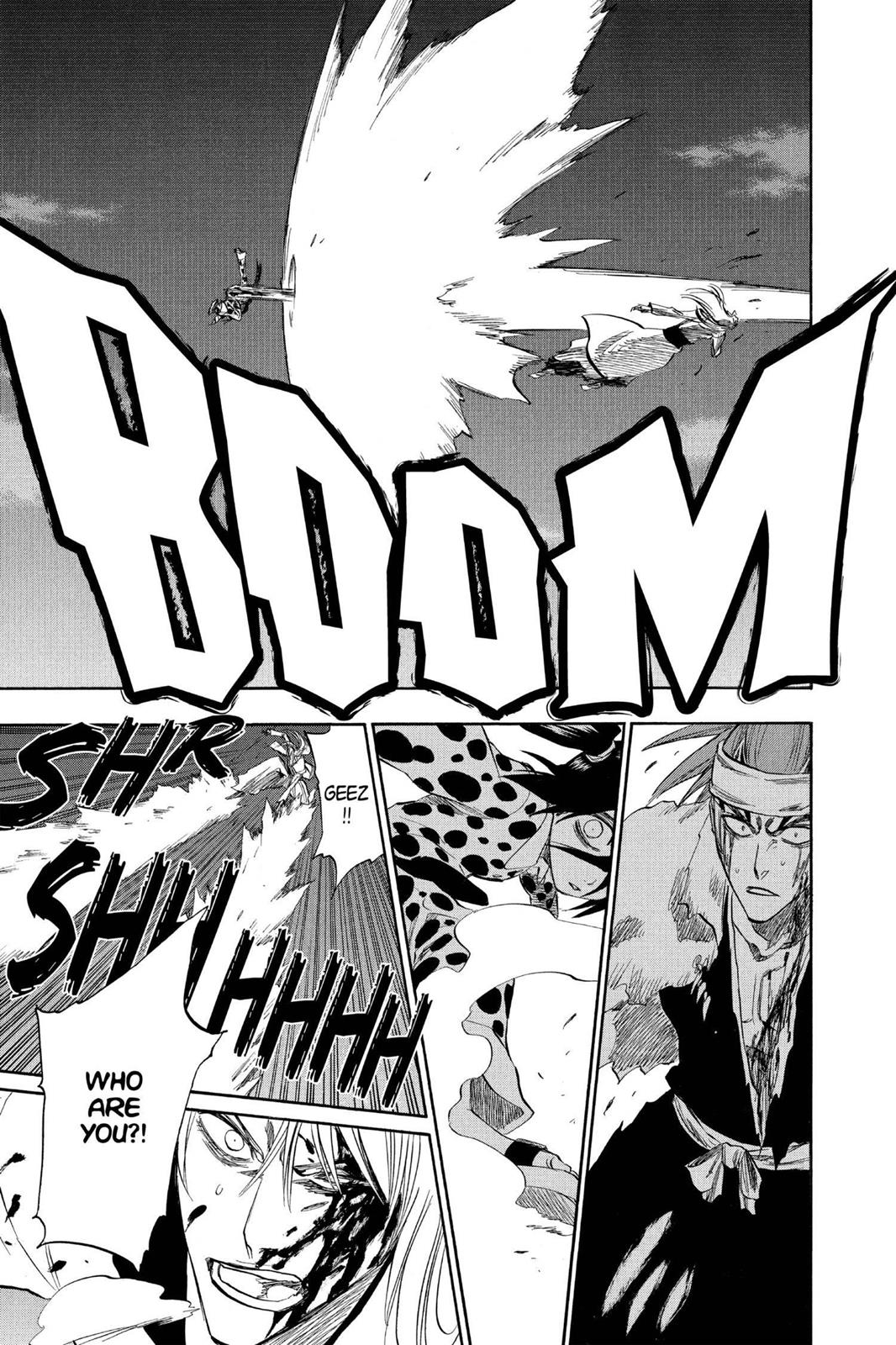 Bleach Chapter 207 - Page 13