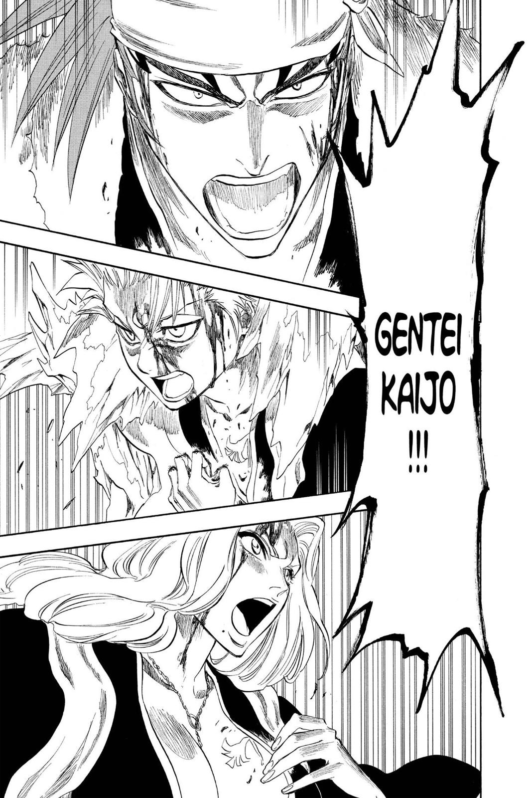 Bleach Chapter 209 - Page 15
