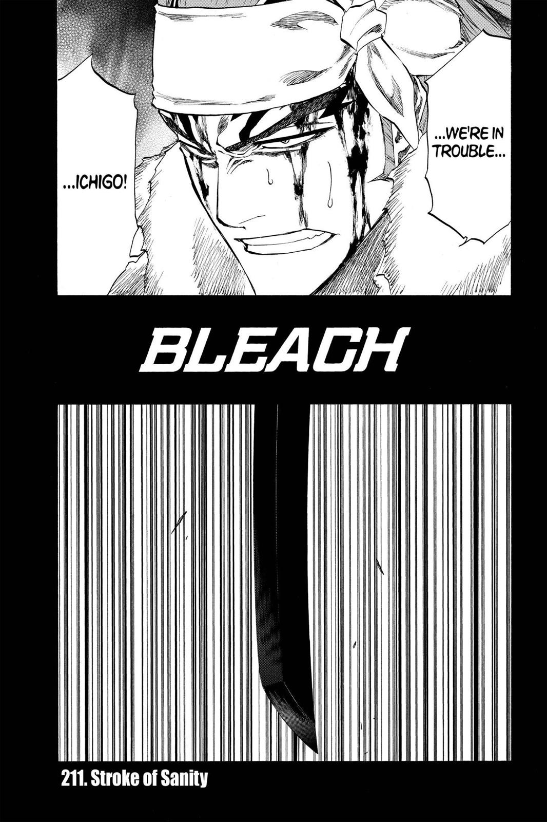 Bleach Chapter 211 - Page 4