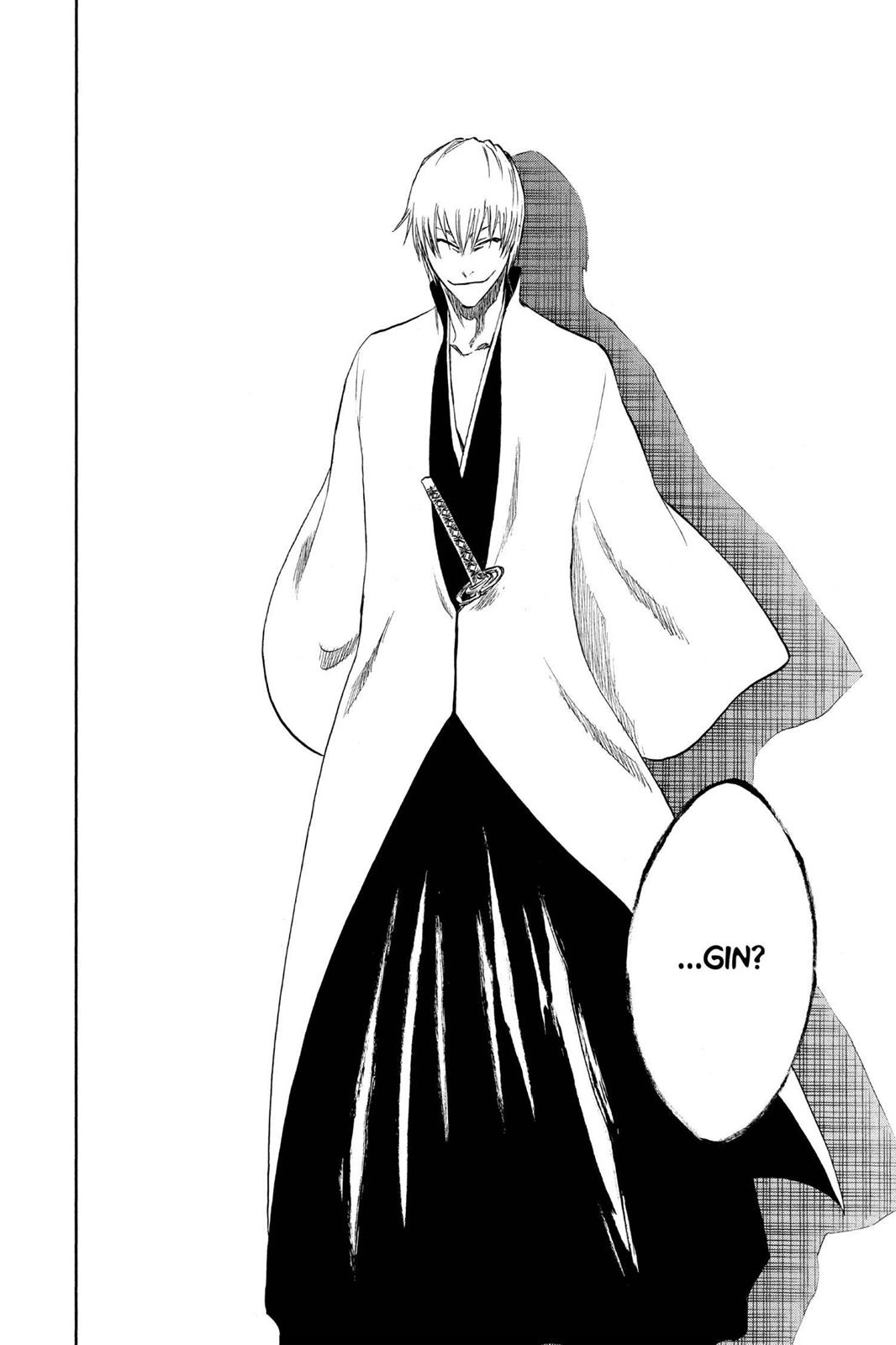 Bleach Chapter 213 - Page 18