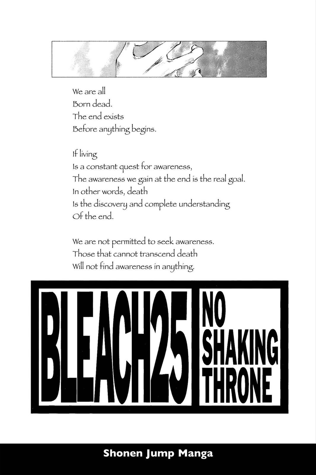Bleach Chapter 215 - Page 4