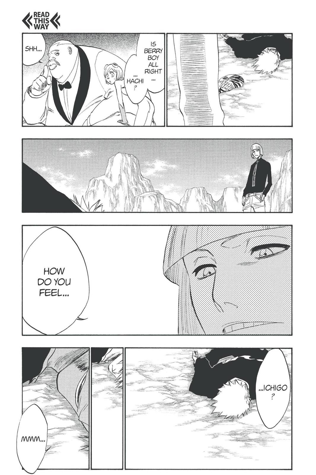 Bleach Chapter 222 - Page 11