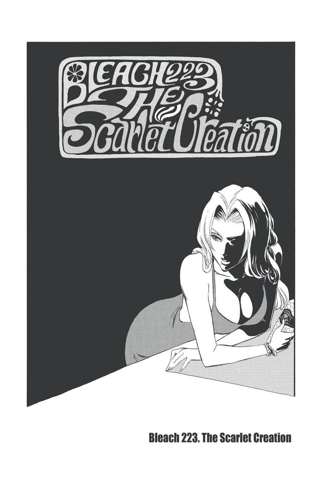Bleach Chapter 223 - Page 3