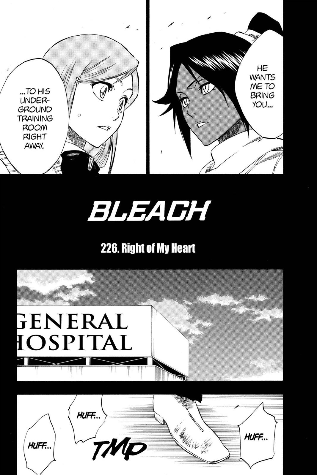 Bleach Chapter 226 - Page 5
