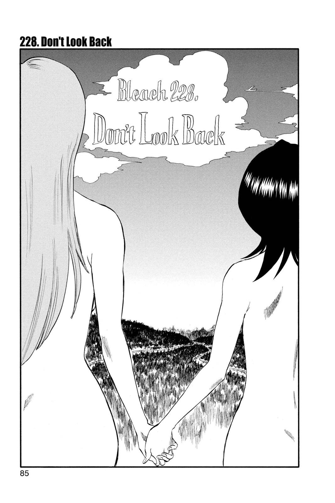 Bleach Chapter 228 - Page 3