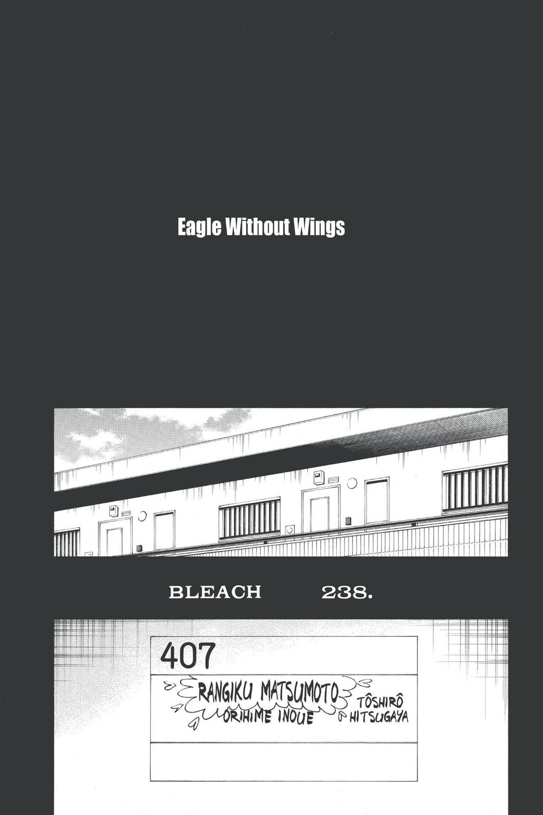 Bleach Chapter 238 - Page 4