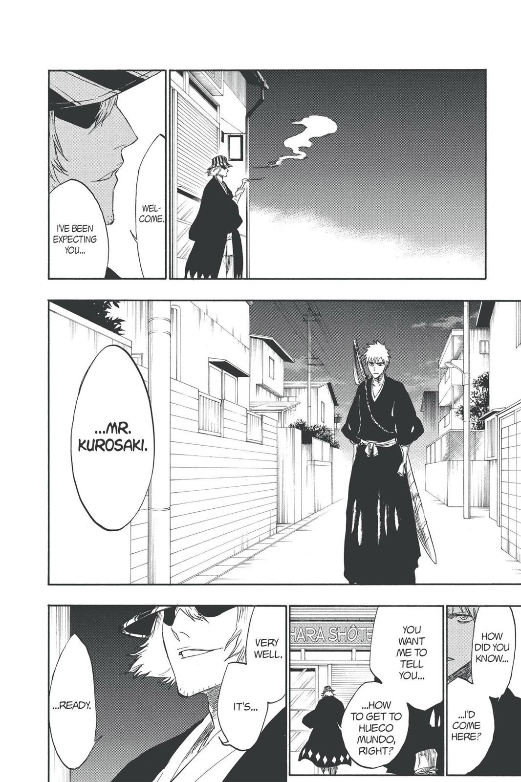 Bleach Chapter 239 - Page 15