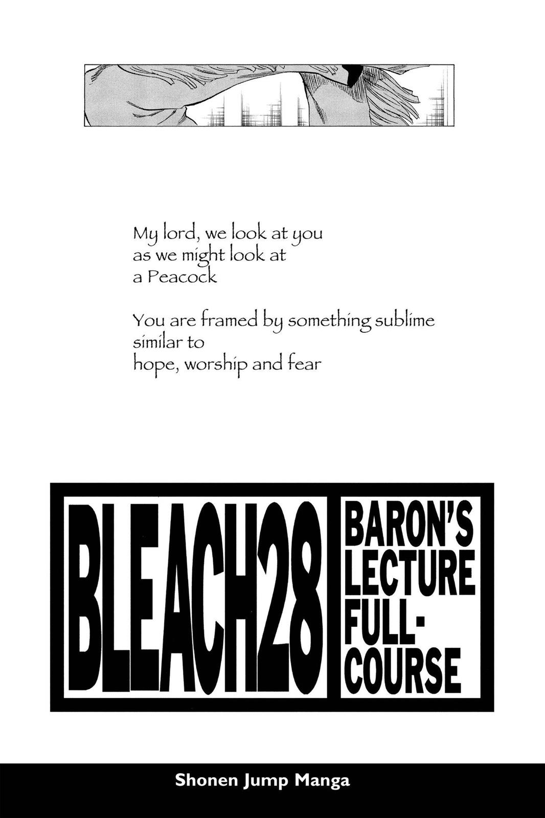Bleach Chapter 243 - Page 4