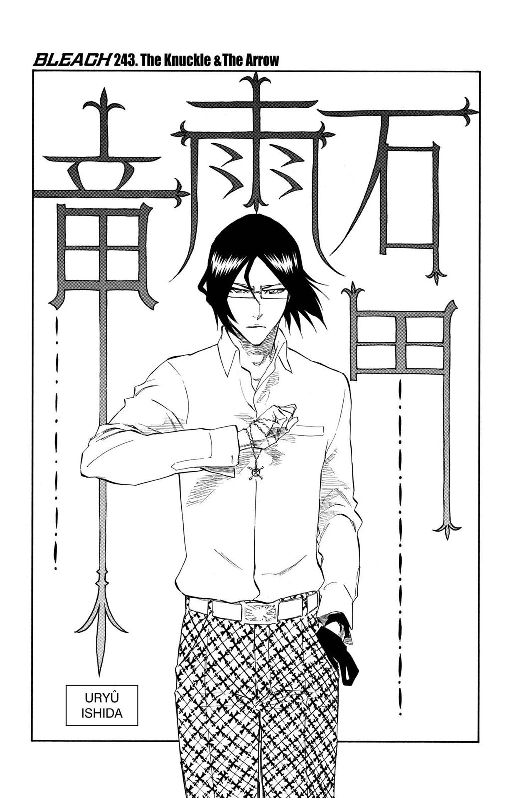 Bleach Chapter 243 - Page 11