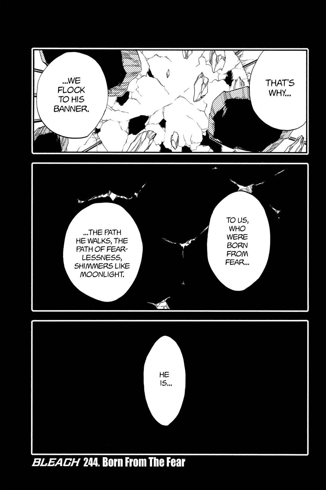 Bleach Chapter 244 - Page 6