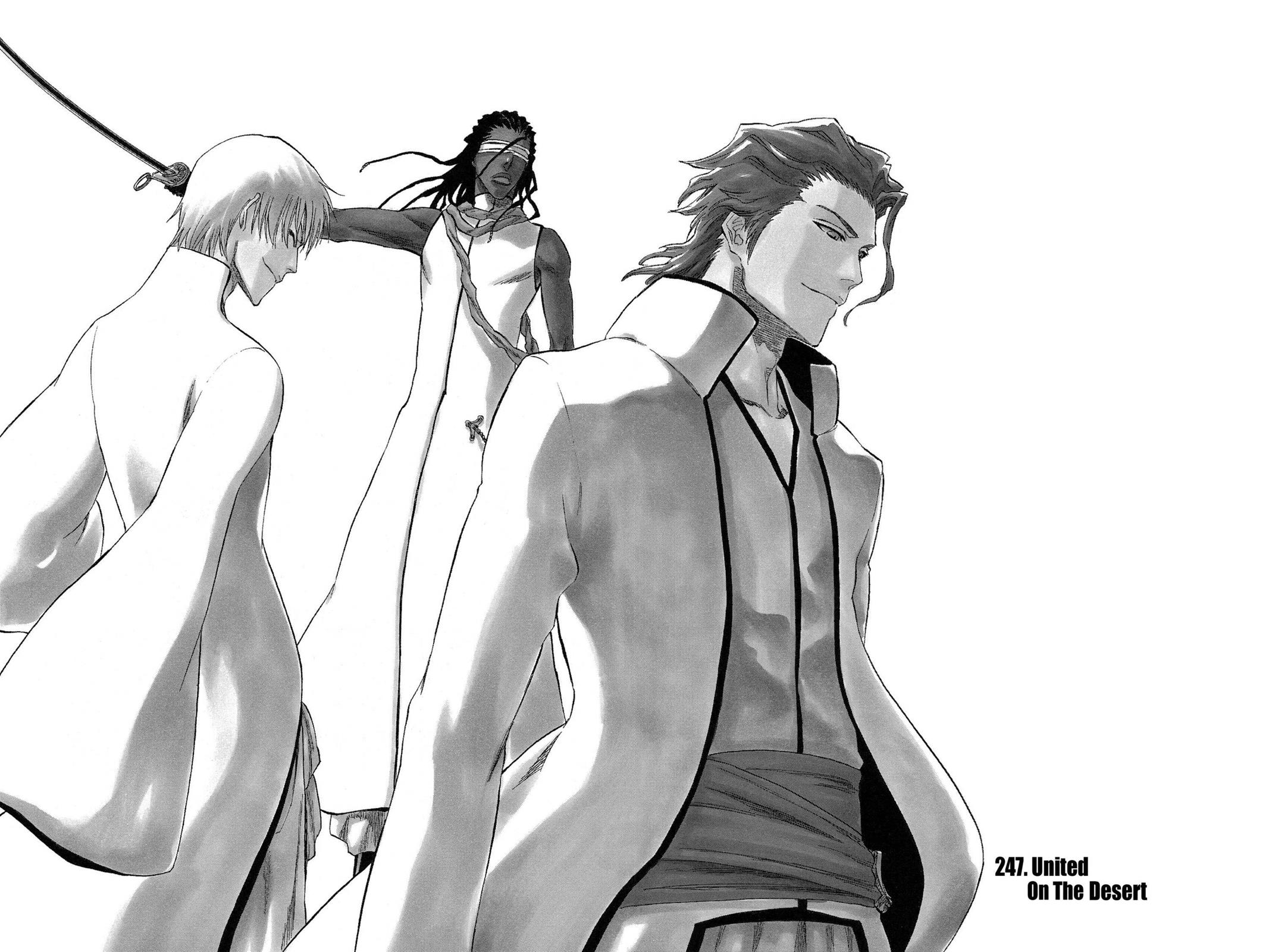Bleach Chapter 247 - Page 3