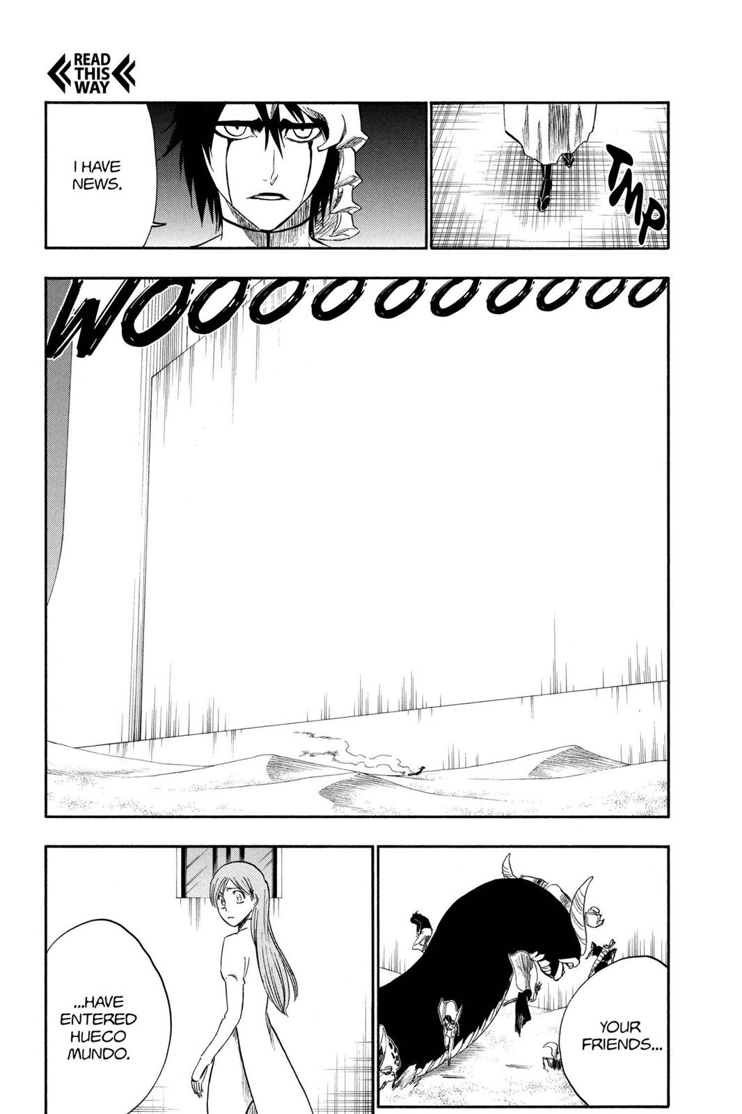 Bleach Chapter 247 - Page 17