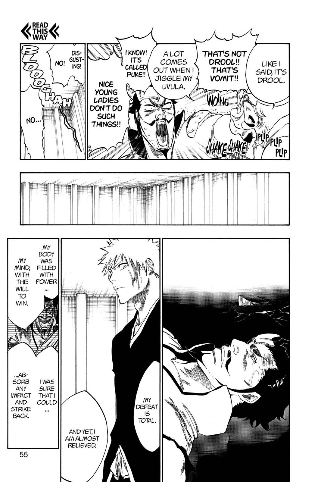 Bleach Chapter 254 - Page 5