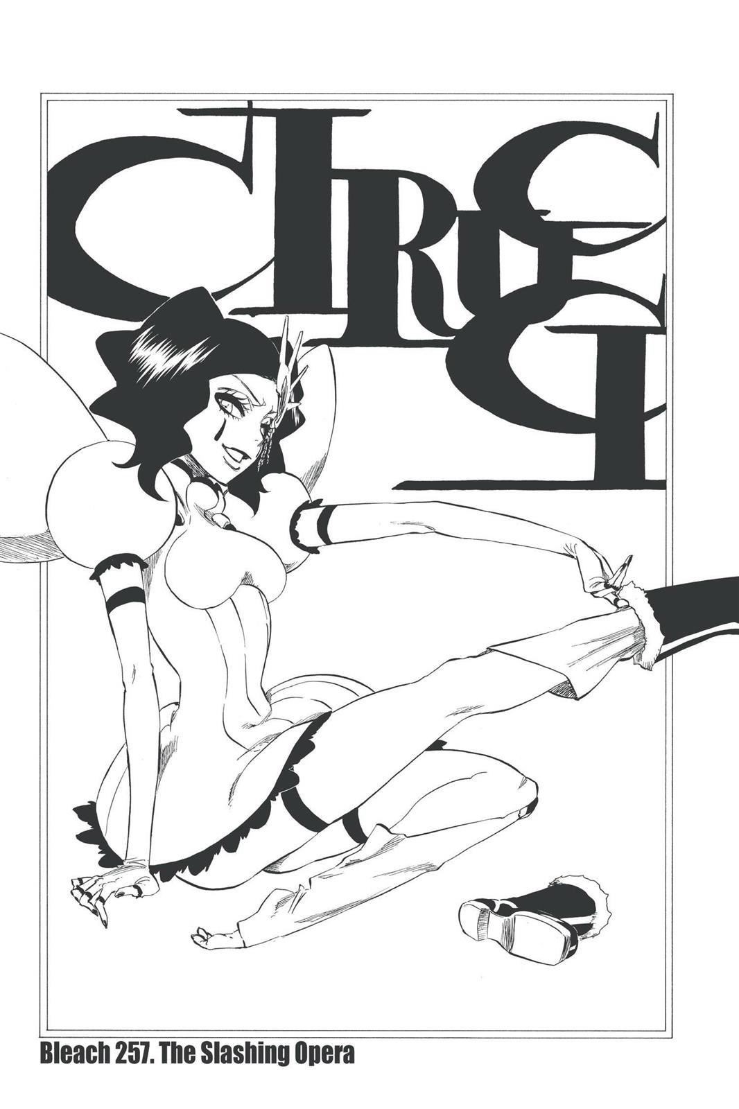 Bleach Chapter 257 - Page 3