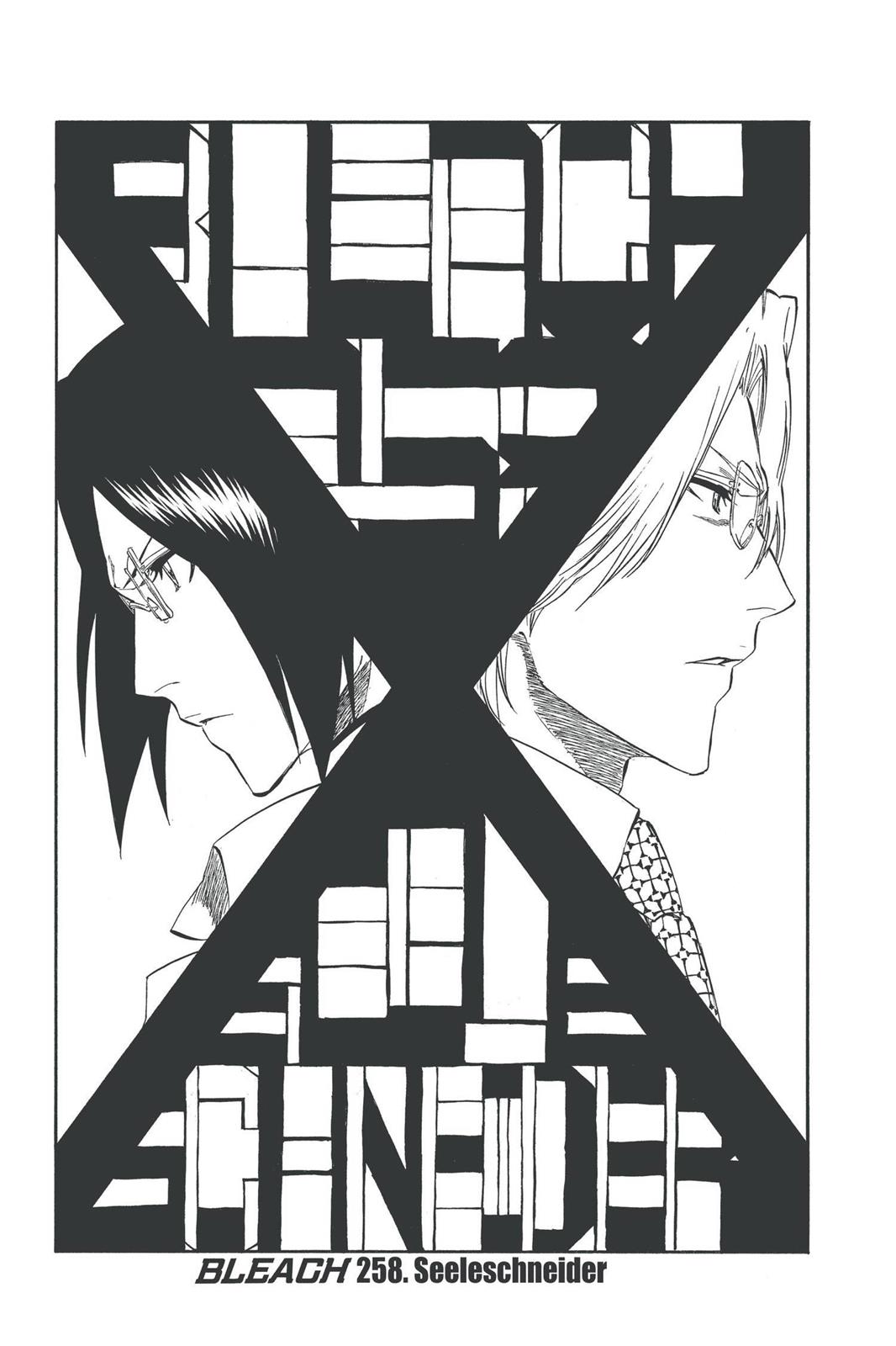Bleach Chapter 258 - Page 3