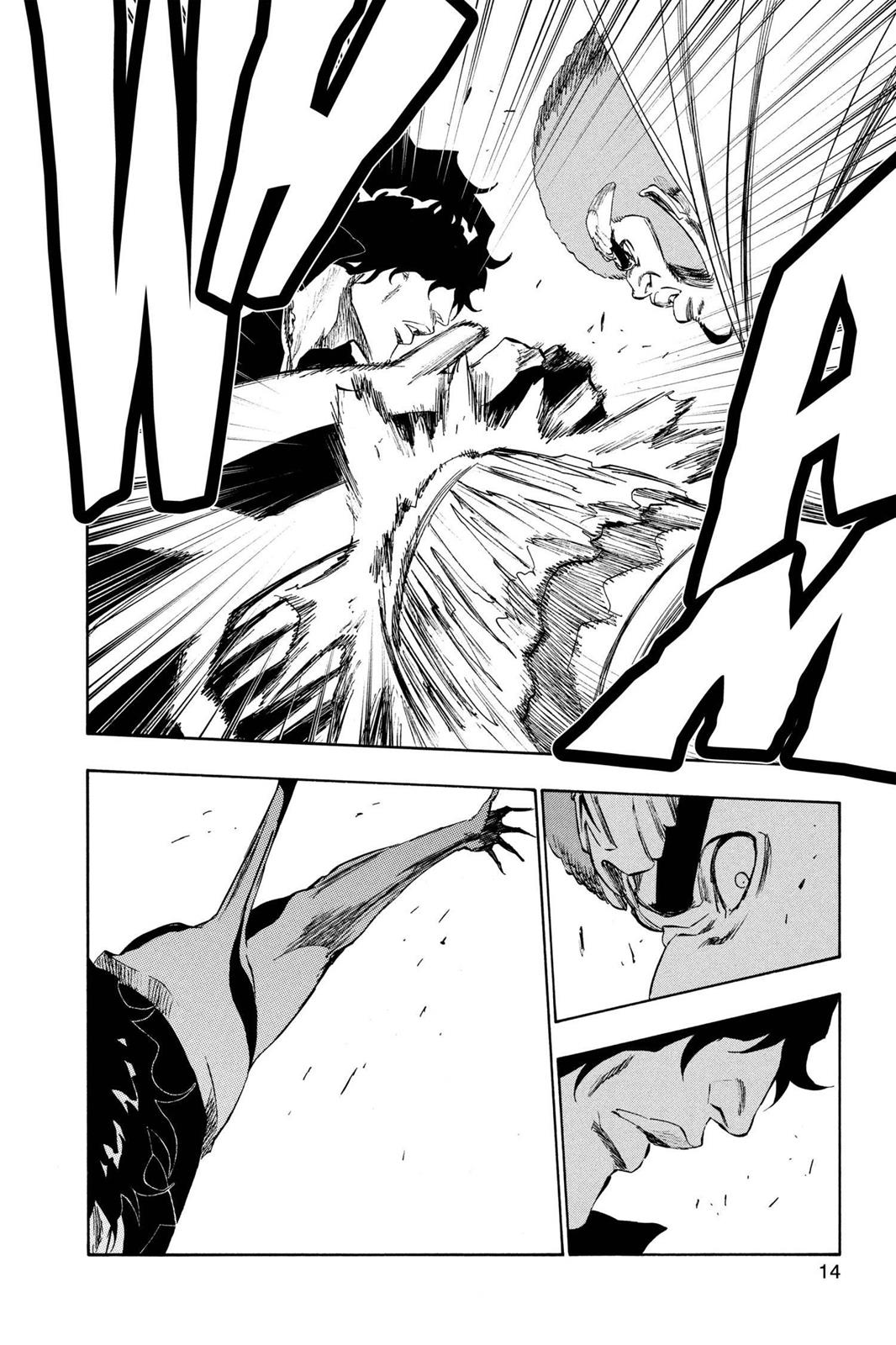 Bleach Chapter 261 - Page 14