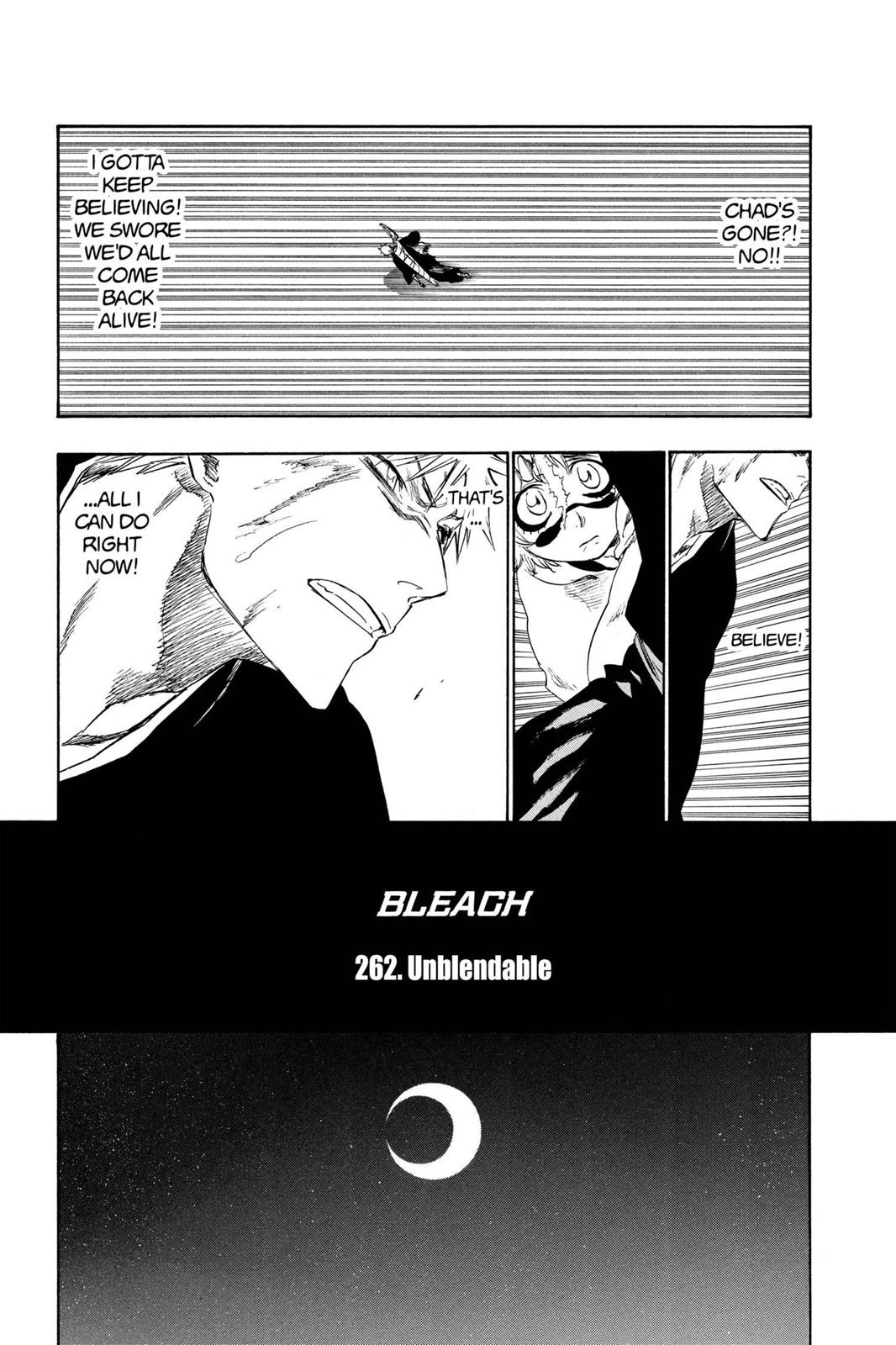 Bleach Chapter 262 - Page 5