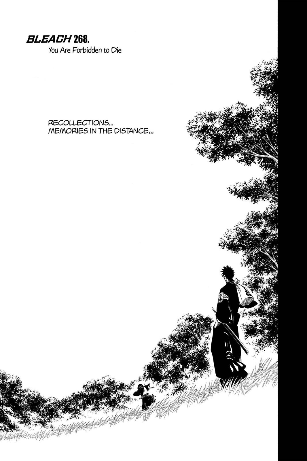 Bleach Chapter 268 - Page 5