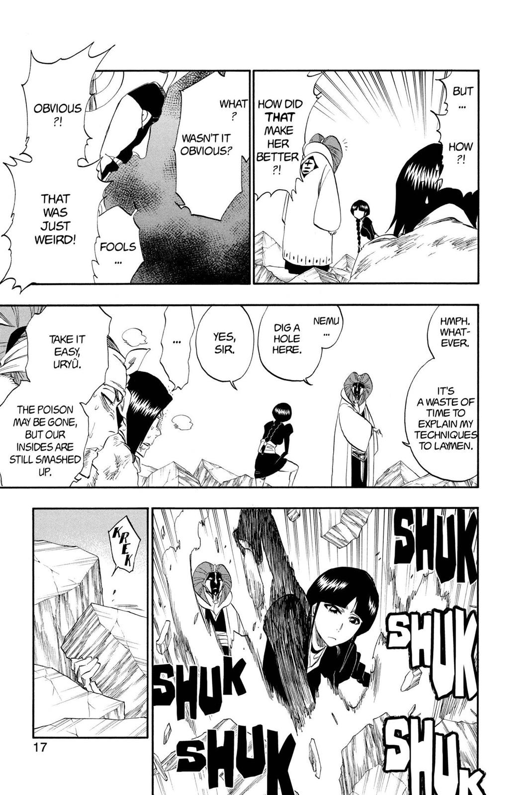 Bleach Chapter 306 - Page 17
