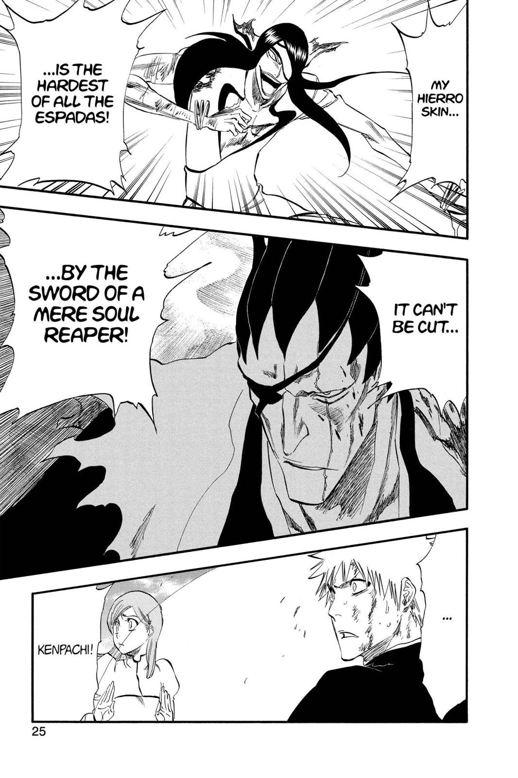 Bleach Chapter 306 - Page 25