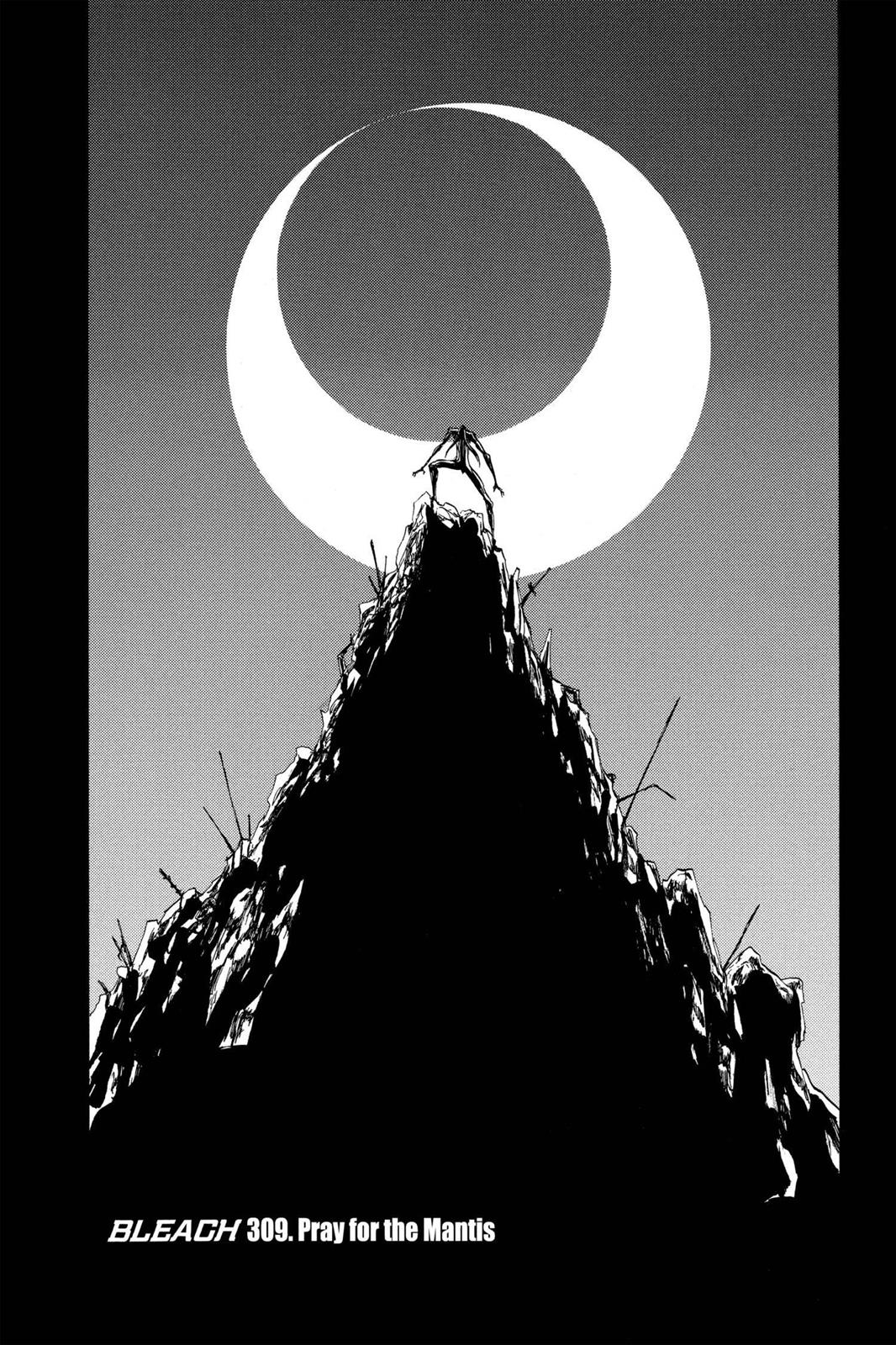 Bleach Chapter 309 - Page 8