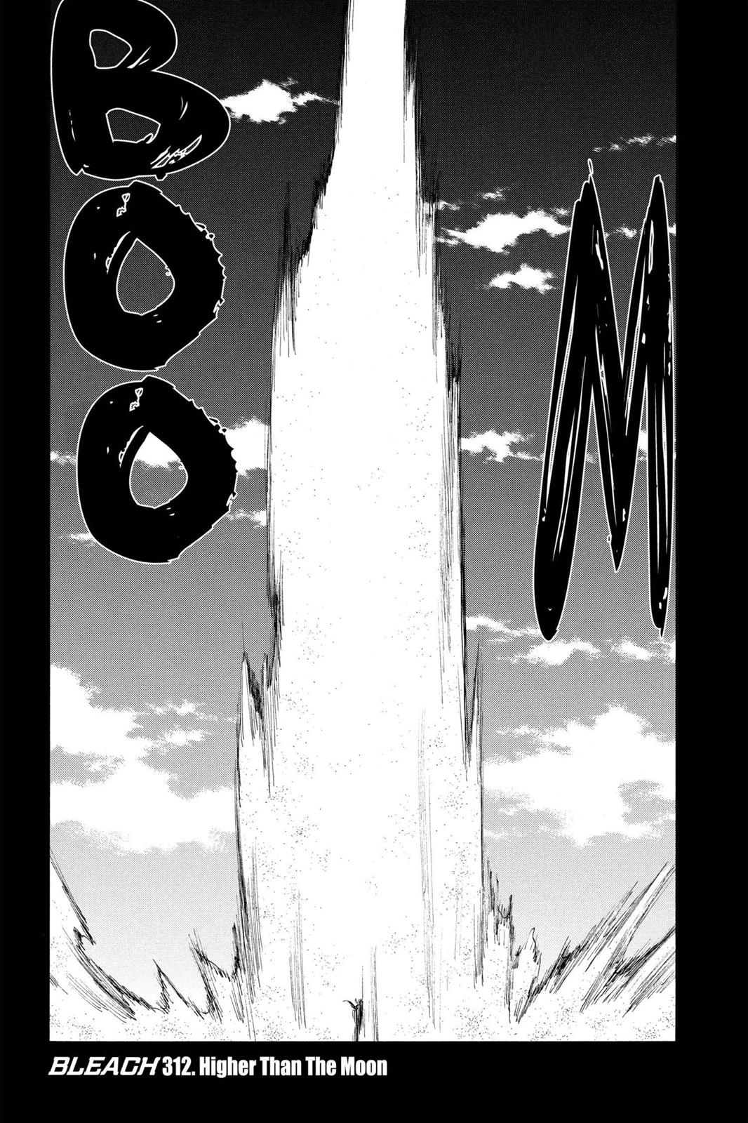 Bleach Chapter 312 - Page 3