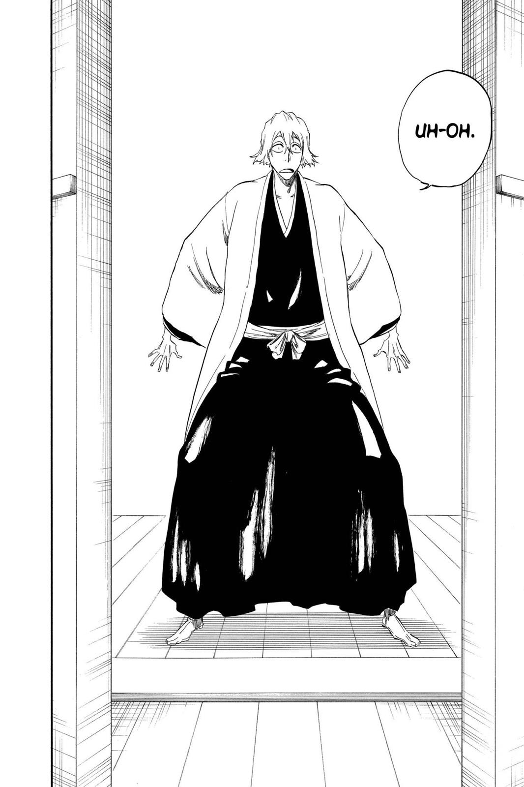 Bleach Chapter 315.5 - Page 23