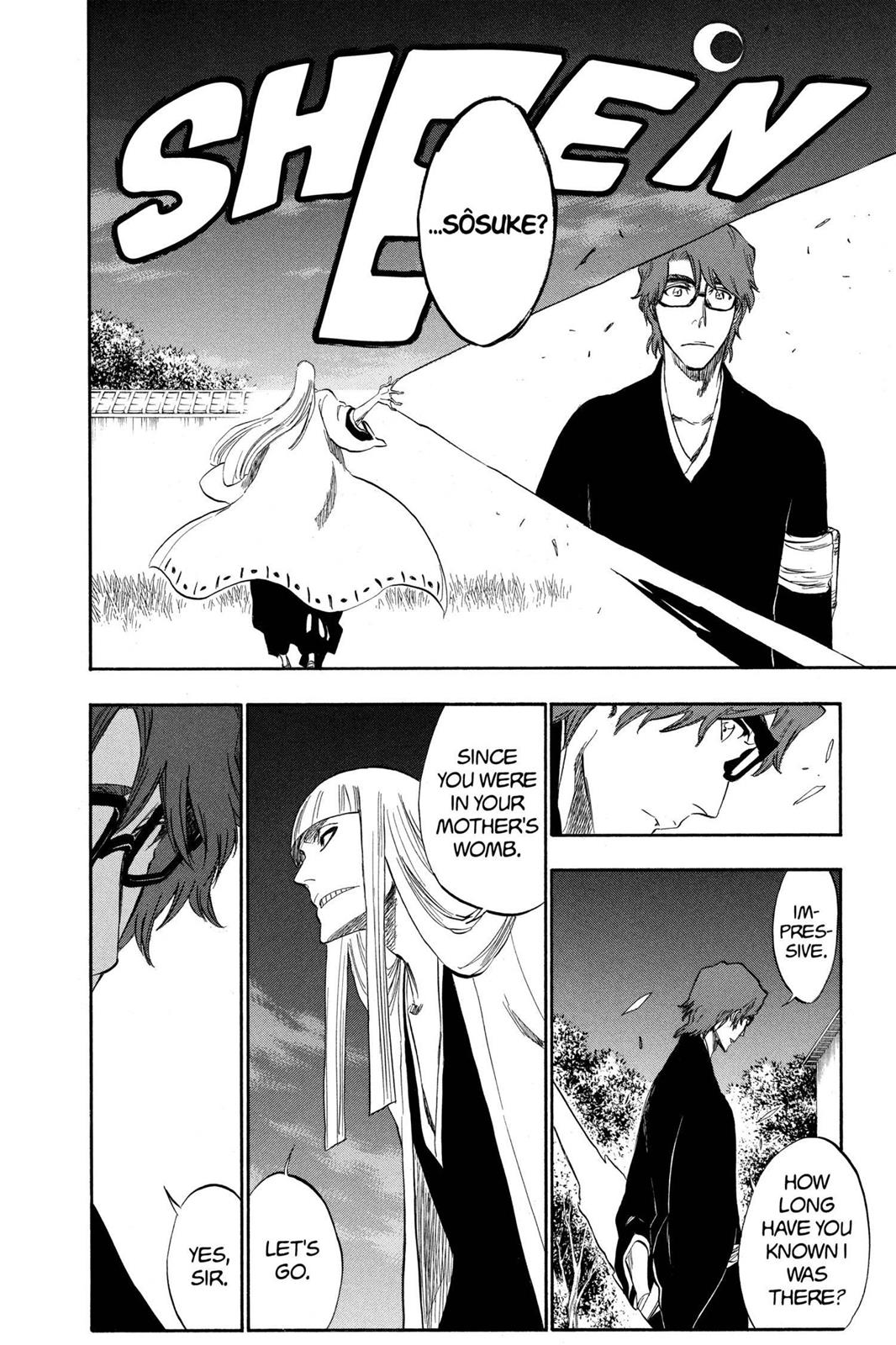 Bleach Chapter 315.5 - Page 43